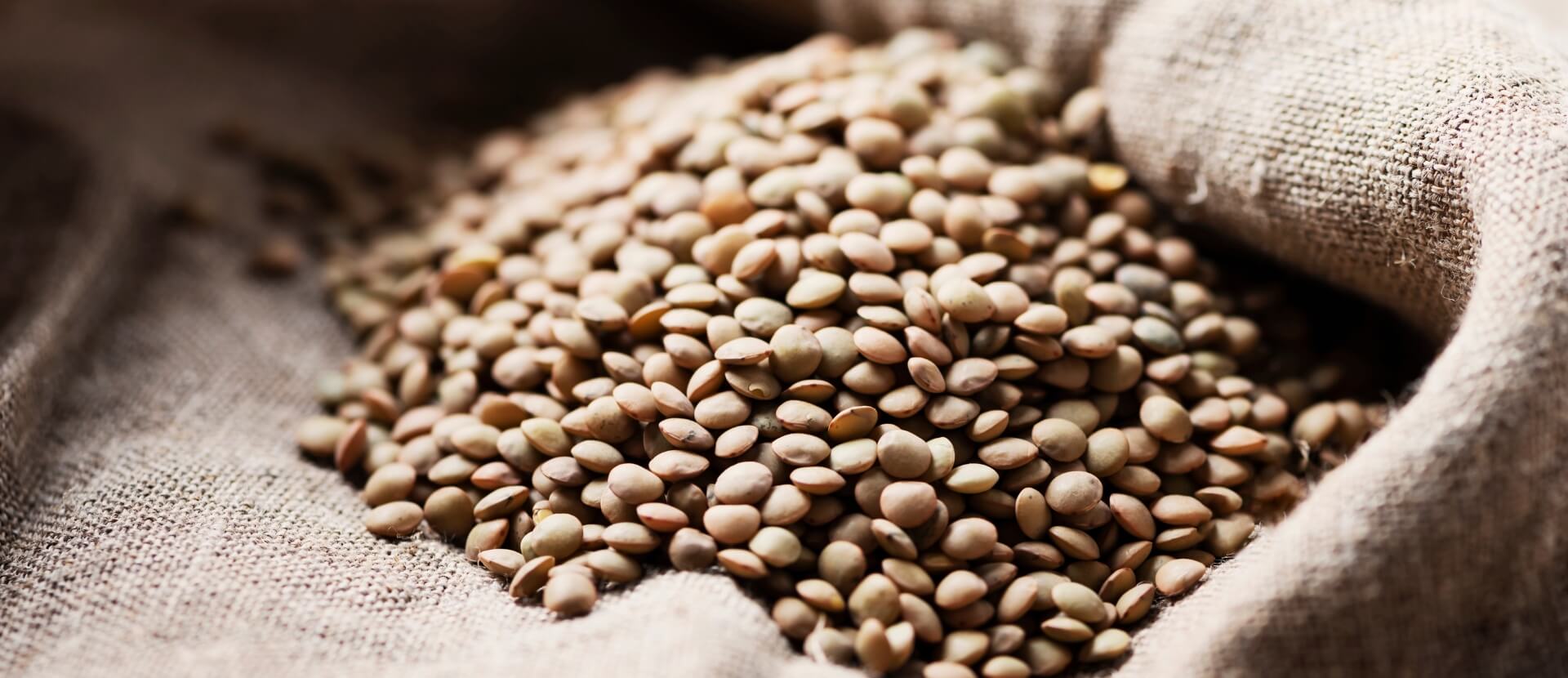 Premium Canadian Lentils
